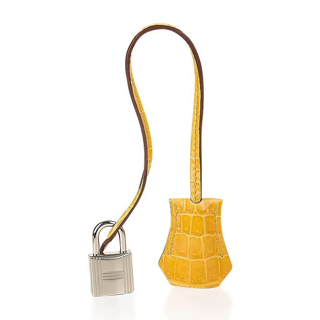 Birkin Touch 30 Bag Jaune Ambre Crocodile / Togo Limited Edition