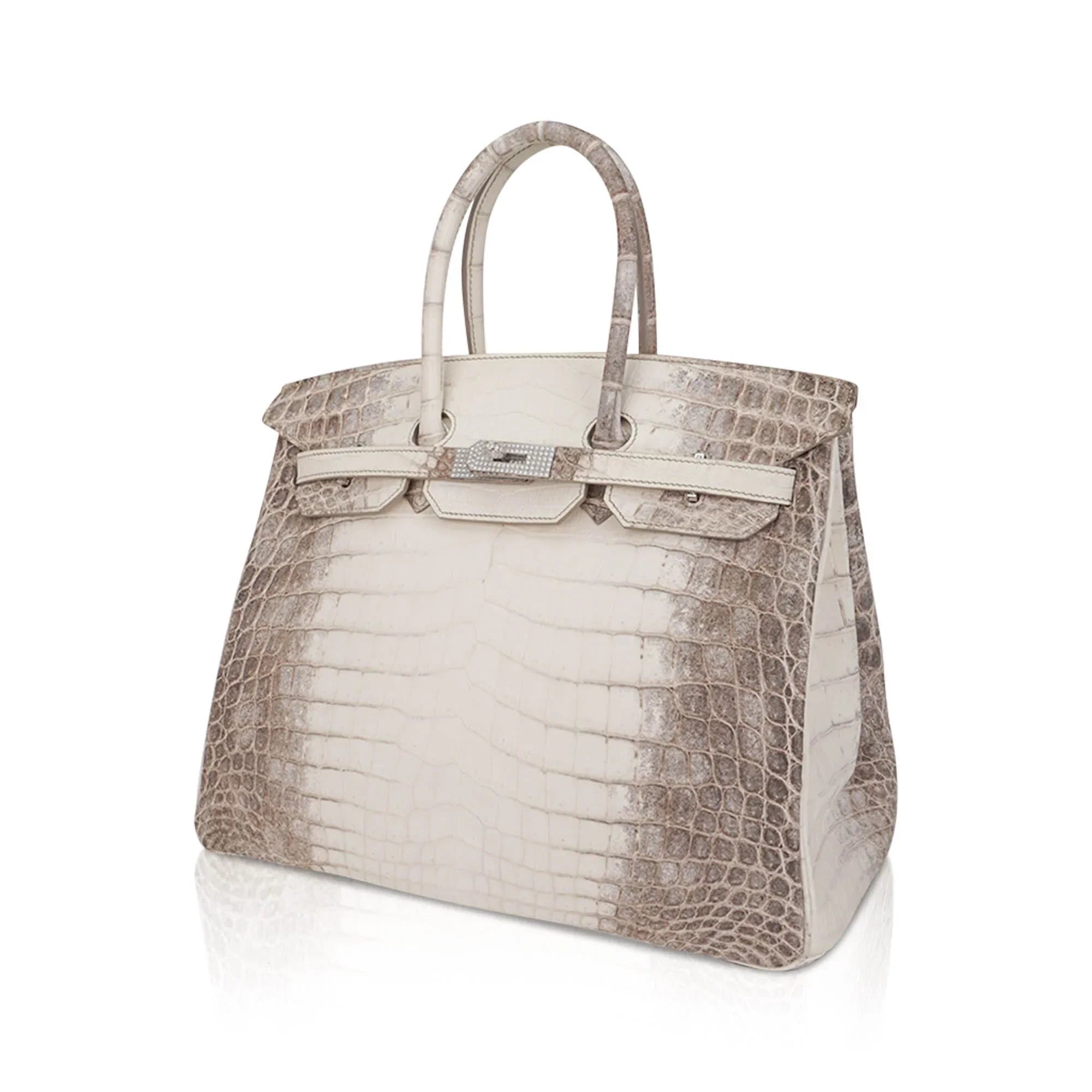 Birkin 35 Diamond Blanc Himalaya Matte Crocodile Limited Edition Bag