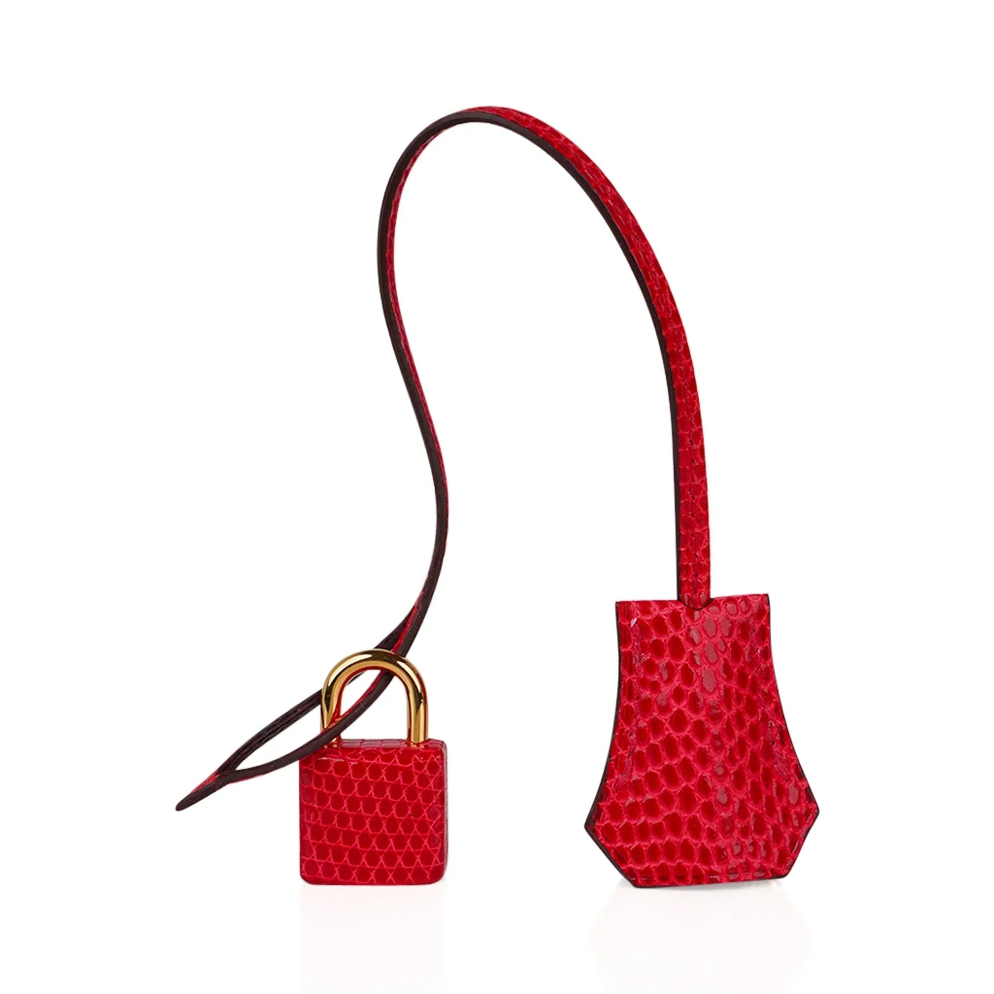 Birkin 30 Bag Rouge Exotique Lizard Limited Edition Gold Hardware Rare