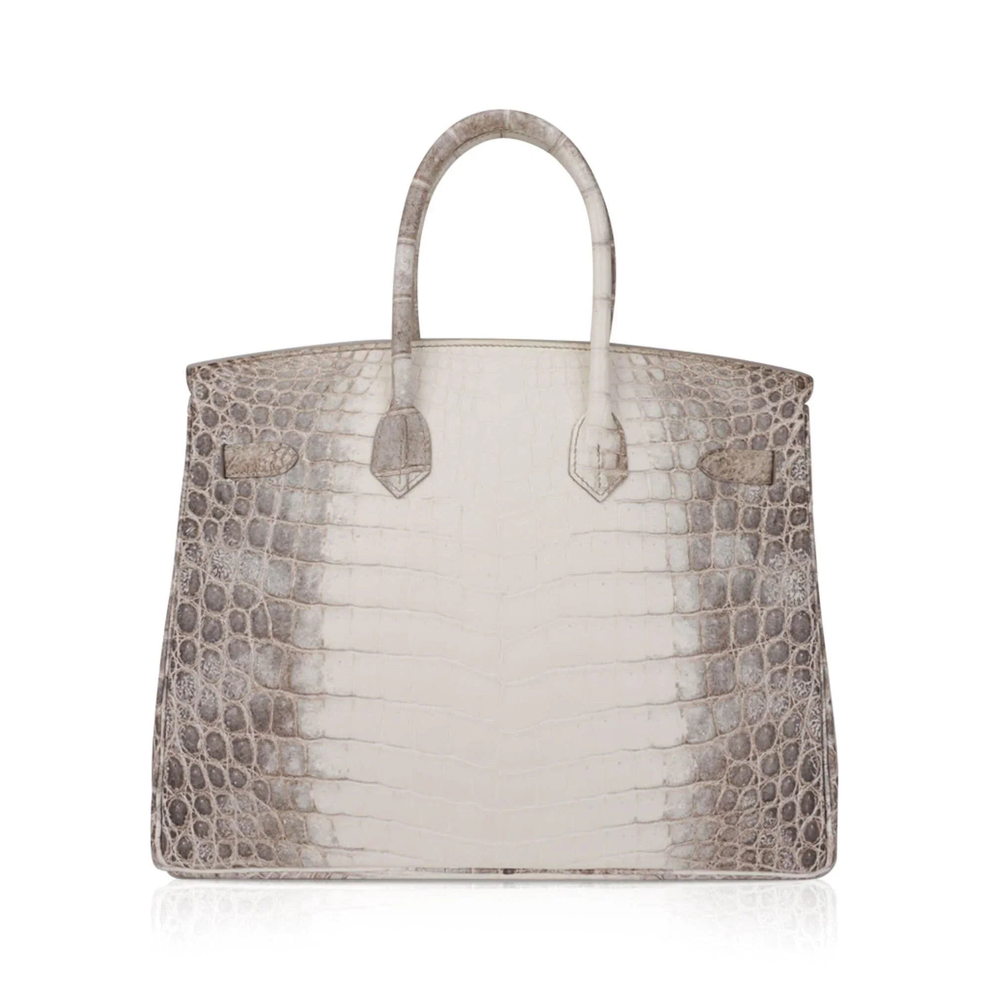 Birkin 35 Diamond Blanc Himalaya Matte Crocodile Limited Edition Bag
