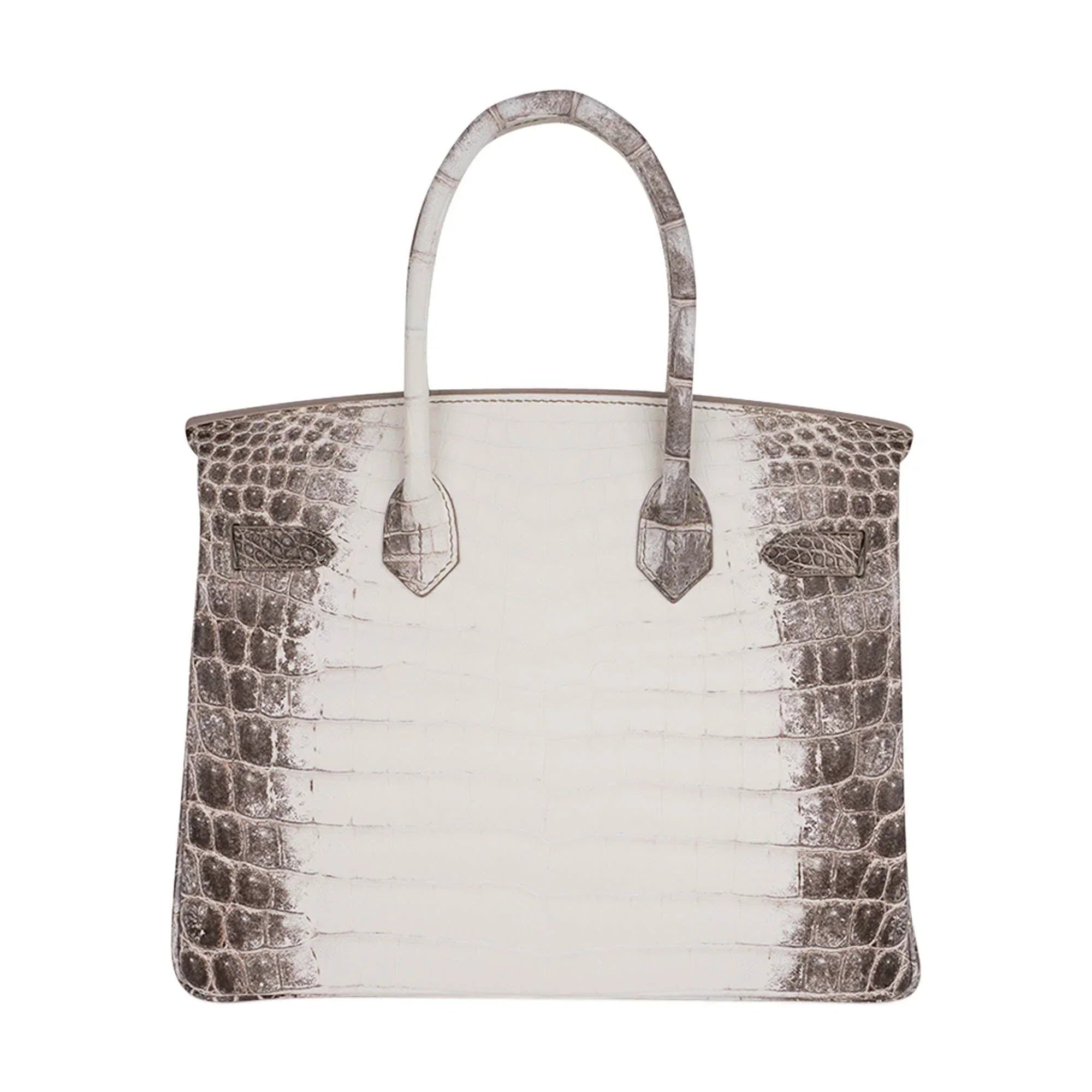 Birkin 30 Bag Diamond Himalaya Blanc Matte Niloticus Crocodile with 18k White Gold Hardware